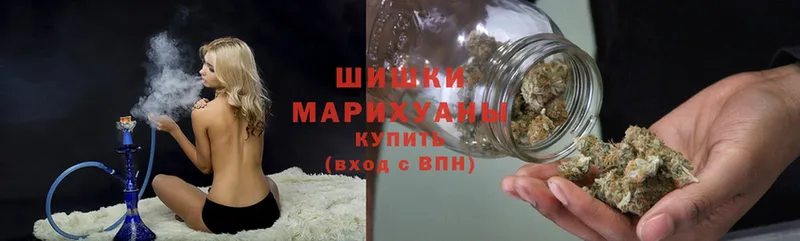 купить наркотик  Жуковский  Шишки марихуана индика 